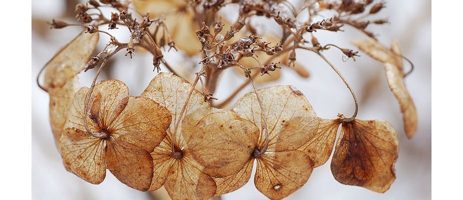 Dicas para deixar sua casa no clima do Inverno