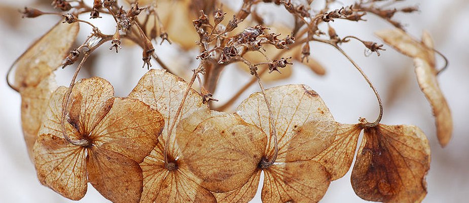 Dicas para deixar sua casa no clima do Inverno