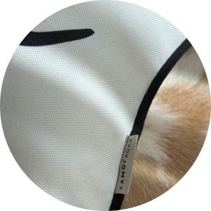 banner colecao palavras 5