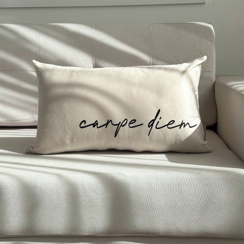 capa almofada carpe diem 1
