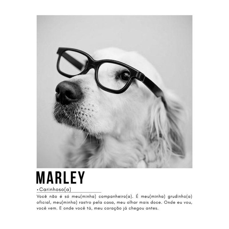 capa almofada veludo personalizavel pet cachorro e gato 45x45 imagem 9