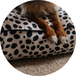 banner bolinha futon animal print