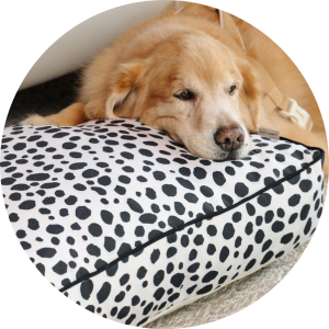 banner bolinha futon animal print 4