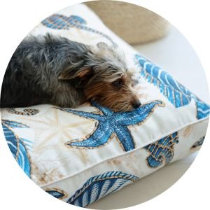 banner futton pet sardenha 2