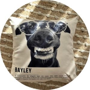 bolinhas descricao foto do pet 1