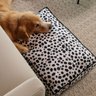 caminha futon m linhao animal print 2