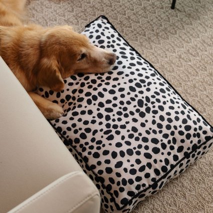 caminha futon m linhao animal print 2