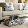 caminha futon m linhao animal print 5