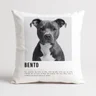 capa almofada pet 6