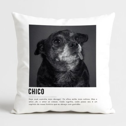 capa almofada pet 9