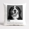 capa almofada pet 10