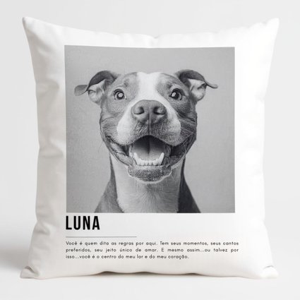 capa almofada pet7