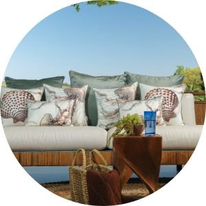 banner bolinha corais e mares 5