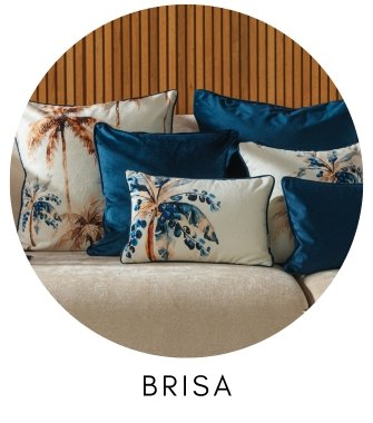 Brisa